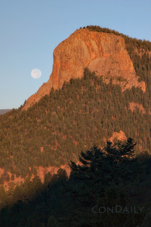 moon and lions head