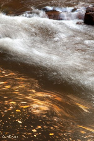 autumn creek by Con Daily